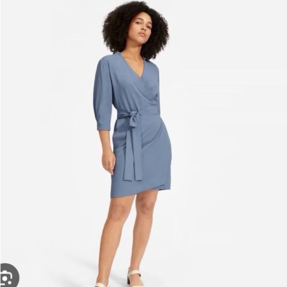 Everlane Blue Wrap Dress size 6